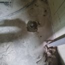 웅천서로41번길 이미지