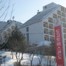 도고토비스콘도사우나 이미지