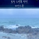 씨엔스톤 이미지