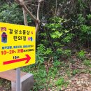 큰엉제주몽땅소품샵및편의점