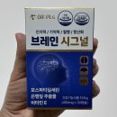 브레인링크 | [브레인 시그널] 천연 가리비 성분 플라즈마로겐 뇌 영양제 후기