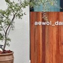 리오애월 이미지