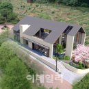 웰니스가든 이데일리