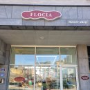 플로시아 이미지