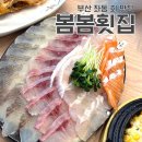 [부산 해운대 좌동] 가성비 회 맛집, 봄봄횟집
