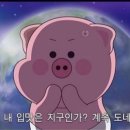 여수여행 2박 3일 일상 마지막편🍀순이네 밥상 후기/ 여수 먹거리들 총집합