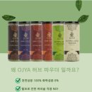 허브헤어미용실