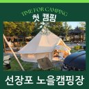 드디어 첫 캠핑 :: 선장포 노을캠핑장 :: 선장포협동조합 :: 아스가르드12.6