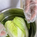 배추 감사히 잘먹었습니다 이미지