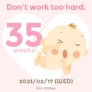 진성세탁 이미지