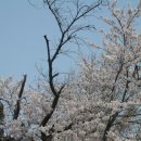 행안초등학교 이미지