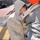 페이스맵(주) | 도쿄디즈니랜드 키스 플리츠플리즈옴므 이세이미야케미 마르마르 노스페이스 베이비갭 아카짱혼포 돈키호테