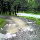 산림욕장 진입로 이미지