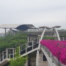 팔달육교 이미지