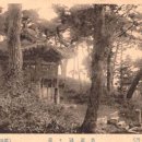 수원-1799 이미지