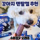 클릭 덴탈 | 오래 먹는 강아지덴탈껌 슈퍼포우오래츄 급여 후기