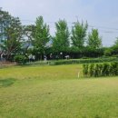 서남물파크골프장 이미지