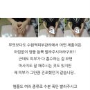 에스테라피 - 광양시 광장로 148-4 | 에스테라피