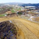 제주의꿈 이미지