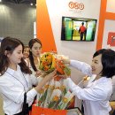 (주)더온코리아