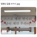 병아리날다 이미지