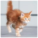 (주)우다다 이미지