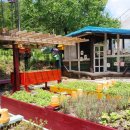 (주)한국치유농업연구소 | 치유농업 및 치유농장에서 Dual-AISAS 마케팅 전략