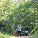 가우도에 아침 이미지