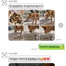 두두스테이 이미지