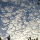 (주)아이콘온 이미지