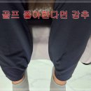 우리집강아지옷장 | 라운딩 후 필수템? 멜킨 종아리 마사지기 추천 후기