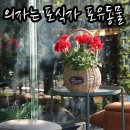 포유동물병원 이미지