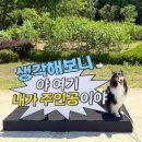 영원전기자전거 | 아홉번째 여름맞이_츄이의 삶, 26/06