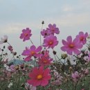 안석주내과의원 이미지