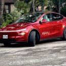 2025년 6월 25일 테슬라TSLA 이야기