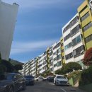 유림-1090 이미지