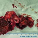 속편한권내과의원 이미지