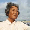 소금꽃 이미지