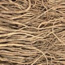 금산농장 이미지