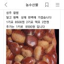 밤3kg 구매해서 찜기에 쪄서 까다가 밤속이 썩은것이~ 이미지