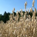 약초화한의원 이미지