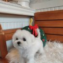 오구오구살롱 이미지