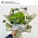 샤이닝블로썸