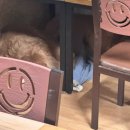 장수닭갈비 | [강원/홍천] 맛도있고 양도많은 닭갈비 맛집 홍천장수왕갈비 후기