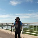 안성천 쉼터 이미지