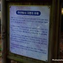 자연스토리 이미지