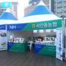 안동봉화축협 앞 이미지