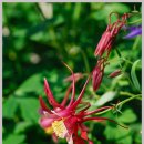 하늘아래첫펜션 이미지