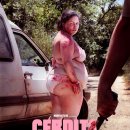 피기피기 이미지