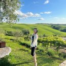 WE둘 민박 | 토스카나 숙소 농가민박 Agriturismo- Podere Spedalone 숙박 및 식사 후기